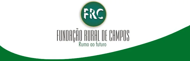 Cabeçalho do portal Rumo ao Futuro, de 2006