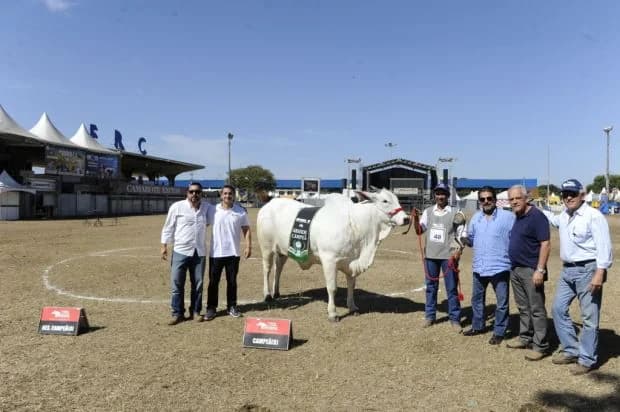 Premiação do Nelore na pista, 2016