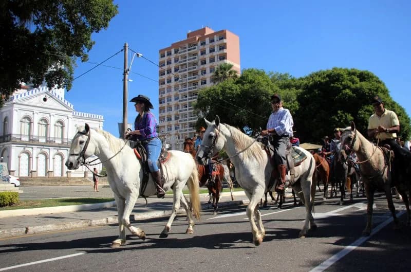 Cavalgada com cavalos brancos, 2017
