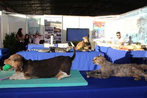 Estande da UENF na exposição de 2017