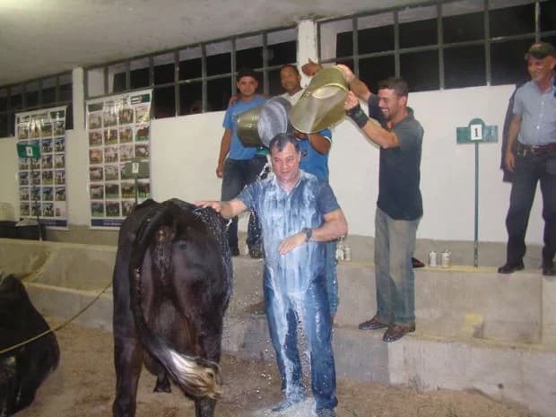 Banho de leite no concurso leiteiro de 2013
