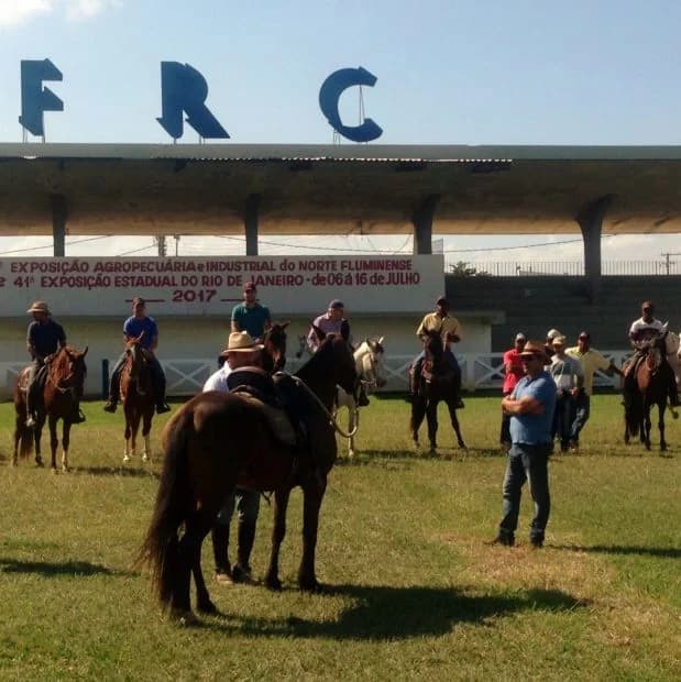 Cavaleiros com Mangalarga Marchador na pista do parque durante um curso